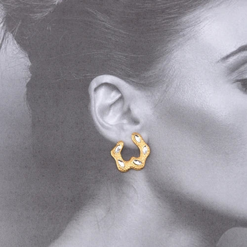 Brincos de aço inox